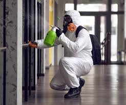 Why You Should Choose Our Mold Remediation Services in Redwater, TX